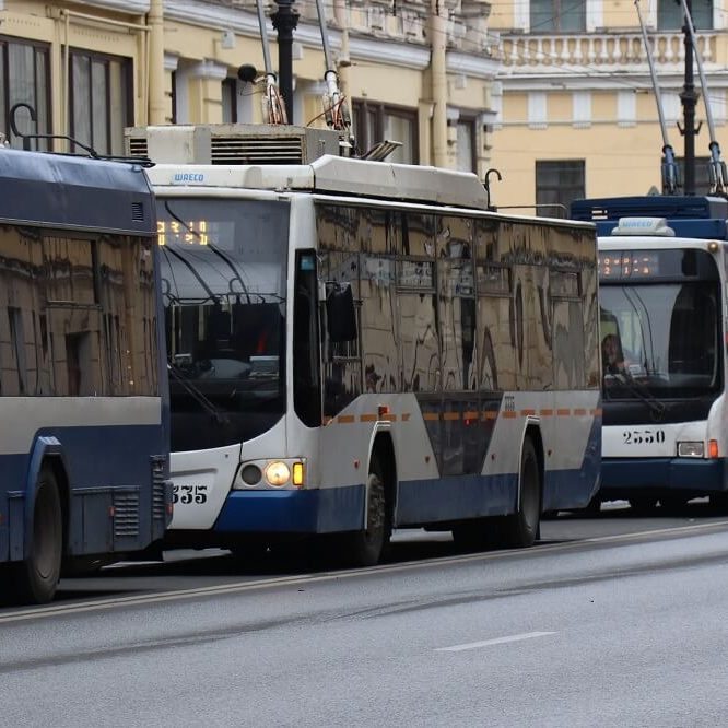 A row of large buses.